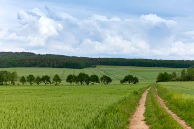 Bahar manzara, bulutlu gökyüzü ile yol
