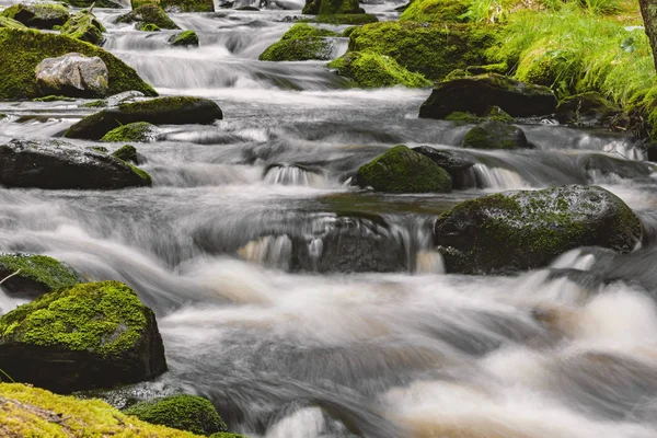 Horský Potok Národním Parku Šumava Česká Republika — Stock fotografie