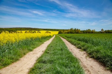 Tecavüz alanı, mavi gökyüzü yolu. Yaz mevsimi.