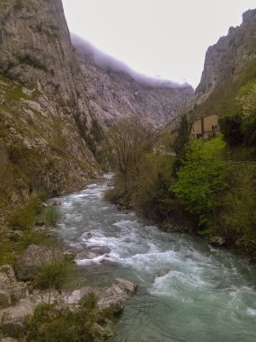 Rio Cares, Picos de Europa, İspanya, Yaz