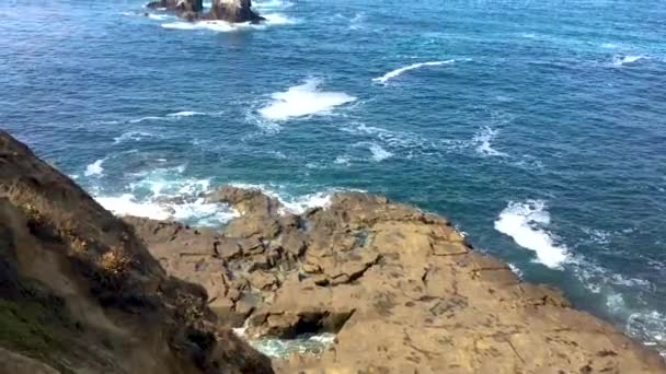 Piscinas Maré Vista Inclinando Até Seal Rock Distância Seguida Panning — Vídeo de Stock