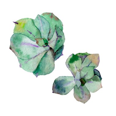 İki sulu rengin sulu boya çizimi 14 