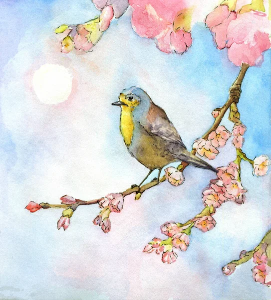 Акварельний Ескіз Птаха Сидить Гілці Квітучого Дерева 300 — стокове фото