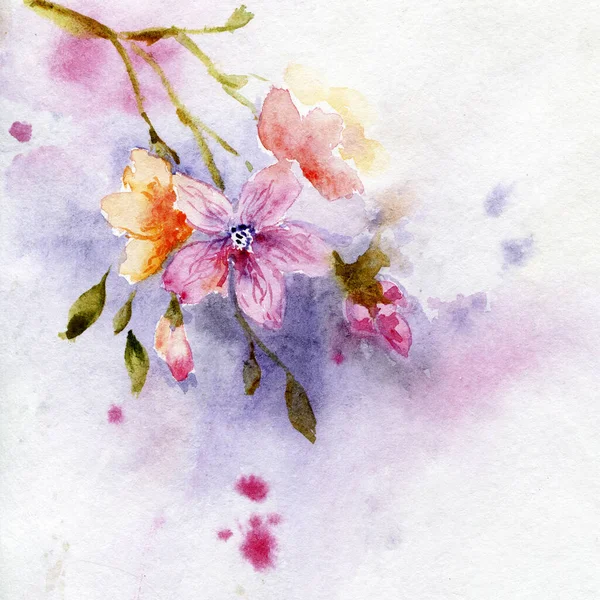 Картина Акварелі Квітучої Гілки Рожево Бузковому Тлі 300 Пді Може — стокове фото