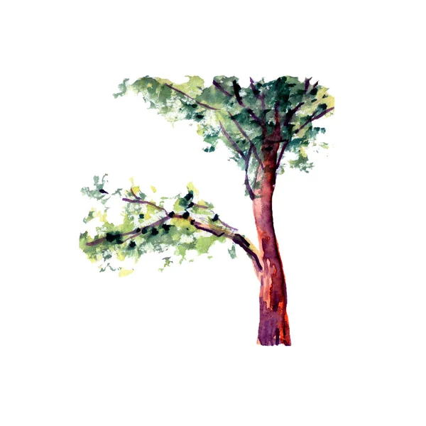 Akvarell Illustration Ett Träd Stam Med Krona Och Några Gröna — Stockfoto