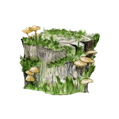 Yeşil yosun ve mantarlı bir kütüğün suluboya çizimi 300 dpi
