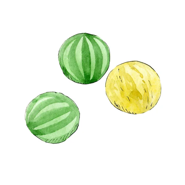 Aquarell Illustration Von Kaugummi Form Von Wassermelone Und Melone Und — Stockfoto