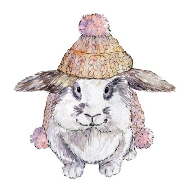 Örgü şapkalı şirin bir tavşanın suluboya çizimi