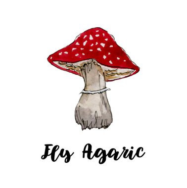 Elle boyanmış sineğin suluboya çizimi