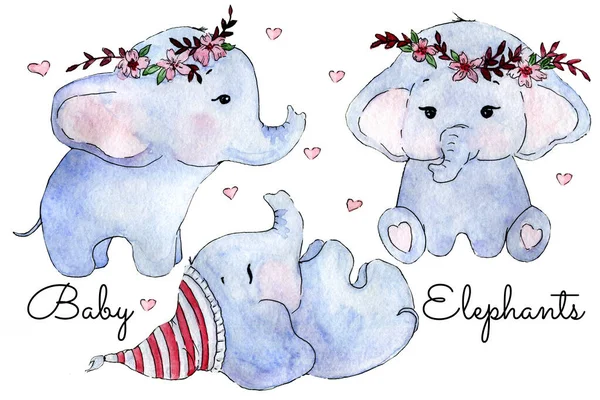 Conjunto Ilustração Aquarela Três Elefantes Bonitos Desenhados Mão — Fotografia de Stock