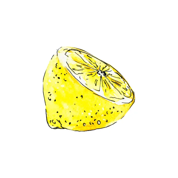 Sketch of half a lemon — Stock Photo, Image