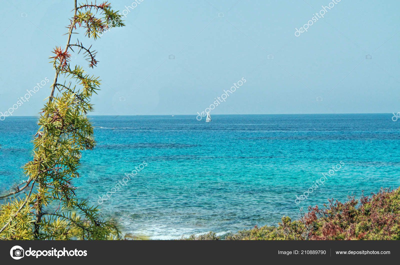 Taxi Boat Saint Florent Mare E Stagnu