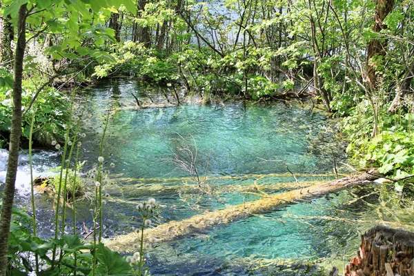 Parque Nacional Dos Lagos Plitvice Plitvicka Jezera Lika Senj Croácia — Fotografia de Stock