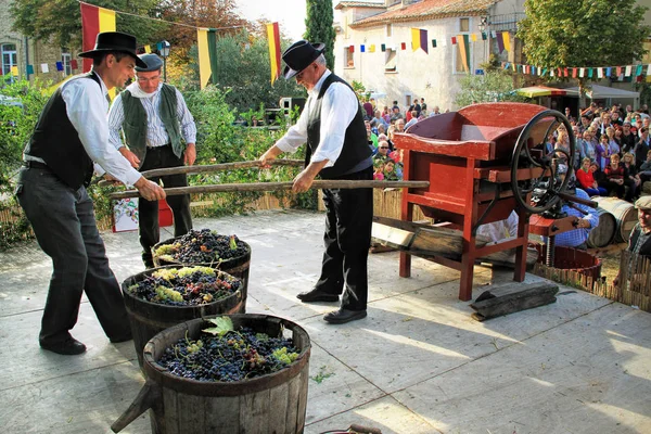Chusclan Γαλλία October13 2013 Παραδοσιακό Κρασί Πατώντας Χρησιμοποιώντας Ένα Εγχειρίδιο — Φωτογραφία Αρχείου