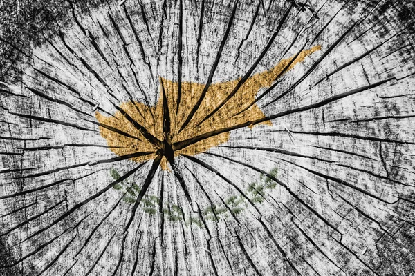 Flag Cyprus Cracked Wooden Texture — Stock Photo, Image