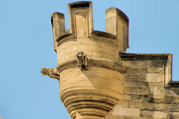 Gargoyles at the Popes Palace square in Avignon, France