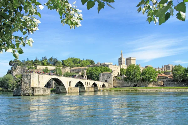 Den Berömda Medeltida Bron Staden Avignon Södra Frankrike Från Barthelasse — Stockfoto