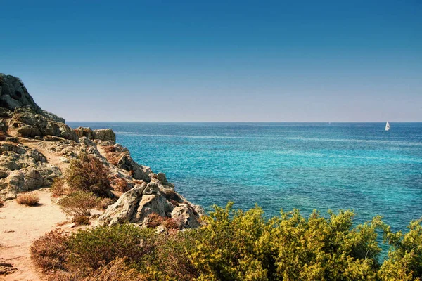 Sahil Yolu Agriates Çöl Yoluyla Plage Için Saleccia Corsica Güzellik — Stok fotoğraf