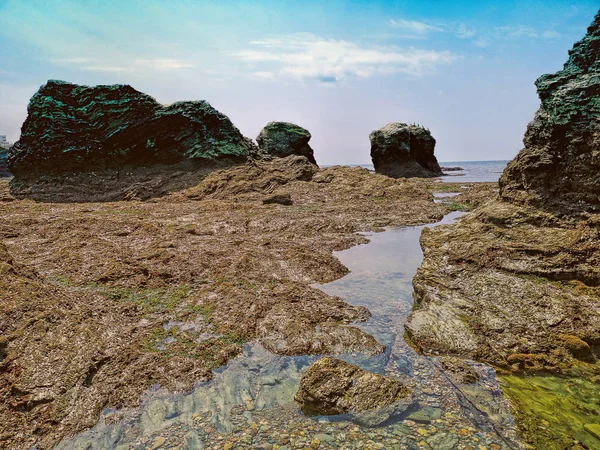 Playa de Les 5 pineaux Saint-Hilaire-de-Riez, Francia — Foto de Stock