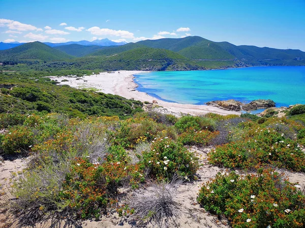 Pustynia Agriates, Korsyka-Isle of Beauty, Francja. Obrazek Stockowy