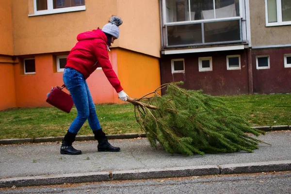El çantalı bir kadın Noel ağacını çöp konteynırına çeker. Kırmızı çantalı ve ceketli bir kadın konteynıra çam ağacı taşır. Çöp kamyonları onu daha sonra alacak..
