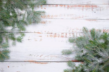 Beyaz aşınmış tahtalarda kar bulunan kozalaklı ladin dalları. Doğal Noel ve kış geçmişi veya konsepti.