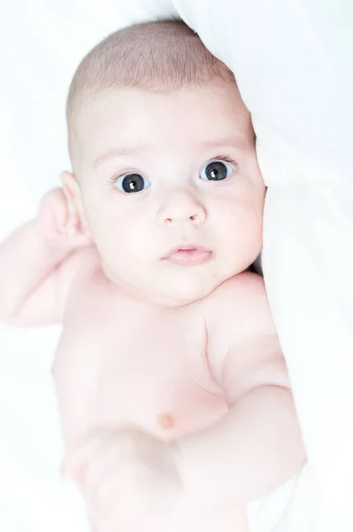 Chiudi il neonato. Primi minuti di vita. Neonato avvolto nel lenzuolo dell'ospedale — Foto Stock