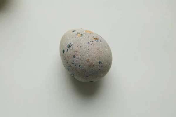 白を基調とした1羽のウズラの卵 — ストック写真