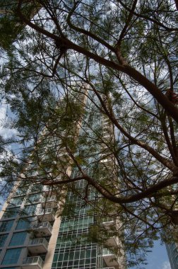 Yaprakların arasından yüksek bina görüntüsü