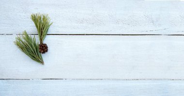 Beyaz ahşap arka planda bir koni ile çam dalları. Üst Manzara. Düz yatıyordu. Model yap. Boşluğu kopyala.