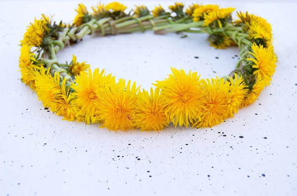 Wreath of yellow dandelions on white background