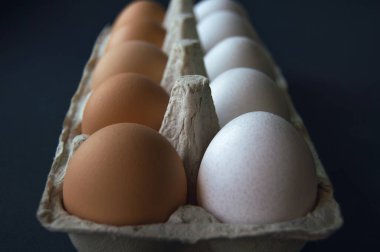 Karanlık bir arka planda karton bir kutuda on yumurta. Siyah arkaplanda 5 beyaz ve 5 kahverengi yumurta..