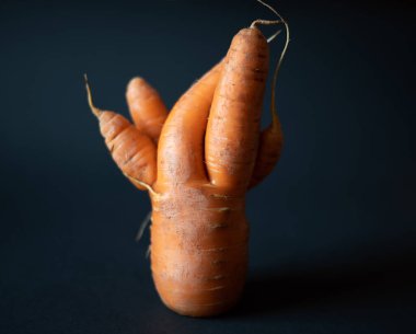 Çirkin yemek. Siyah arkaplanda garip bir havuç..