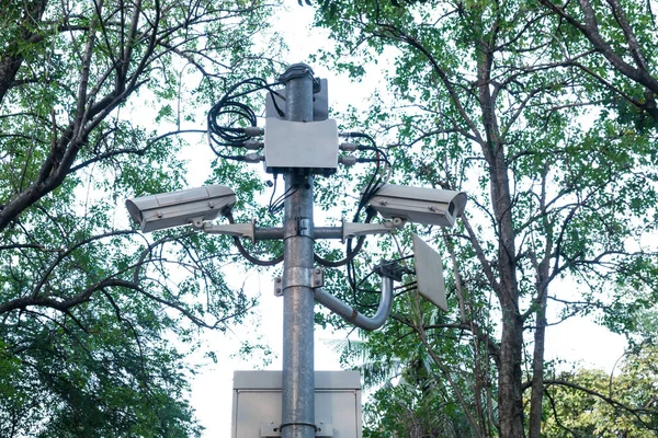 Sistema Cámara Seguridad Post Fondo Naturaleza —  Fotos de Stock