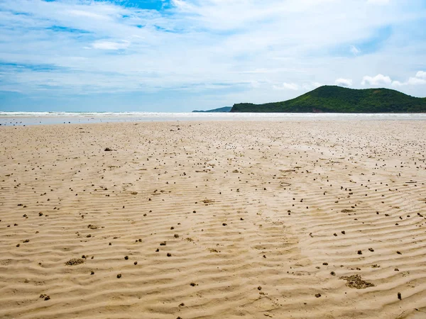 Deniz plaj ve yeşil dağ manzaralı