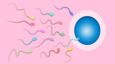 Döllenme vektörü, renkli sperm
