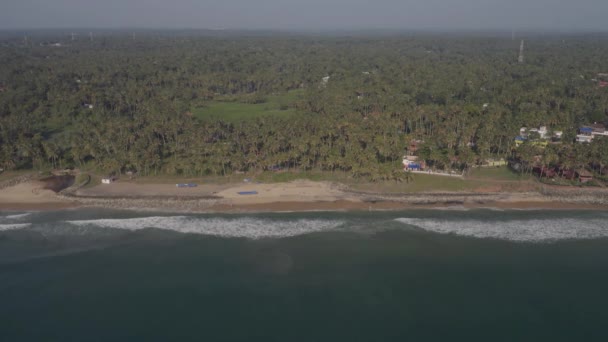 Areal oceaan zee golf mensen palmen strand hotel india varkala 2 — Stockvideo