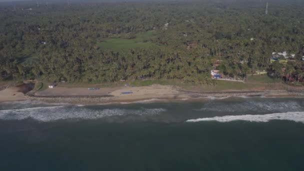 Areal ocean wave people palms beach hotel india varkala 5 — Stok Video
