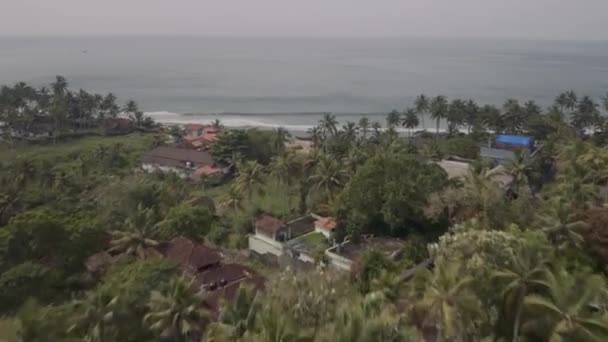 Tengeri hullámtenyerek Indiában varkala 4 — Stock videók