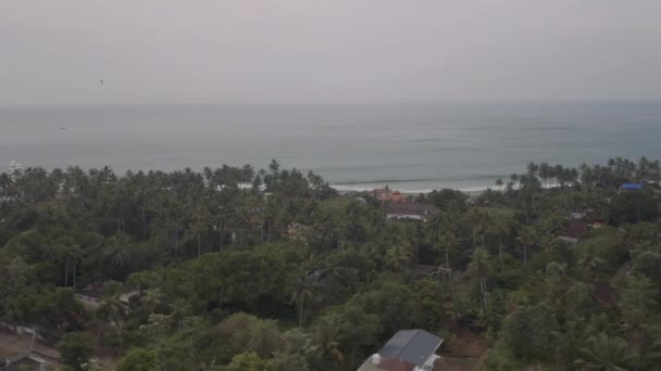 Areal ocean sea wave palms india varkala 3 — Stock Video