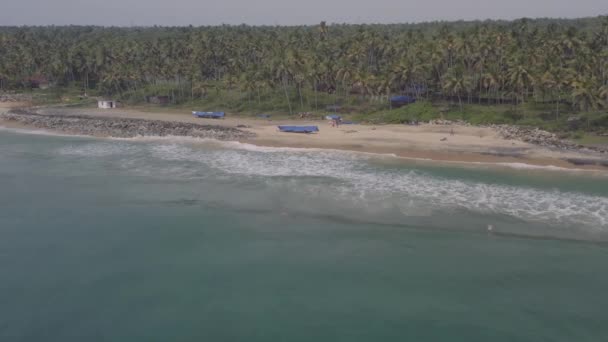 Areal ocean sea wave palms beach hotel india varkala 5 — Stock Video