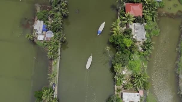 Drone flyger över byn mellan risfälten — Stockvideo