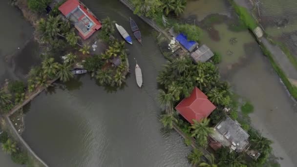 Drone vuela sobre la aldea entre campos de arroz — Vídeo de stock