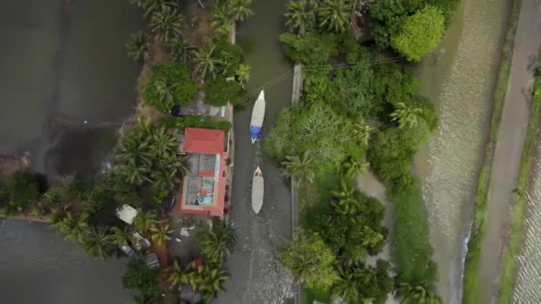 O drone sobrevoa a aldeia entre campos de arroz — Vídeo de Stock