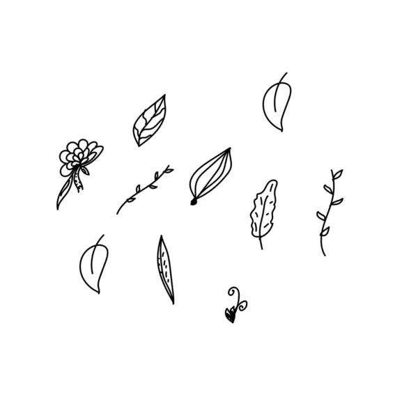 Эскиз Осеннего Набора Листьев Изолированной Векторной Иллюстрации — стоковый вектор