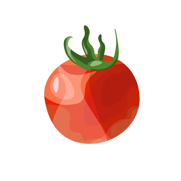 Ilustración Vectorial Tomate Estilo Dibujos Animados Con Reflejos Sobre Fondo — Vector de stock