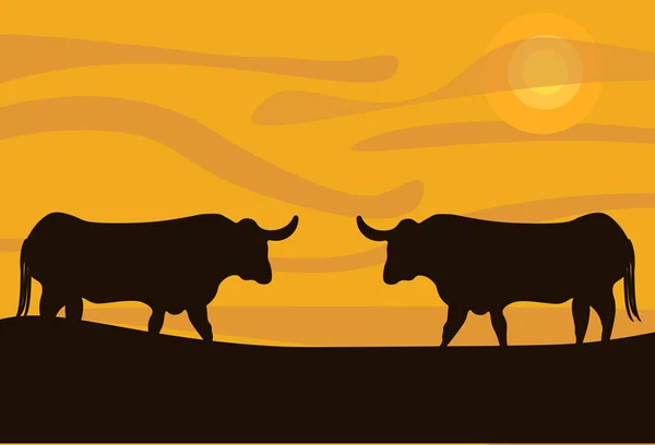 Portakal rengi bir gün batımının arka planında iki boğanın siluetinin vektör çizimi, 2021 'in sembolü, Bulls' un günbatımında çarpışması,