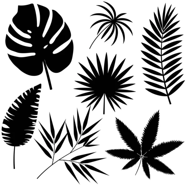 Colección Hojas Tropicales Negro Sobre Fondo Blanco Ilustración Vectorial Monocromática — Vector de stock