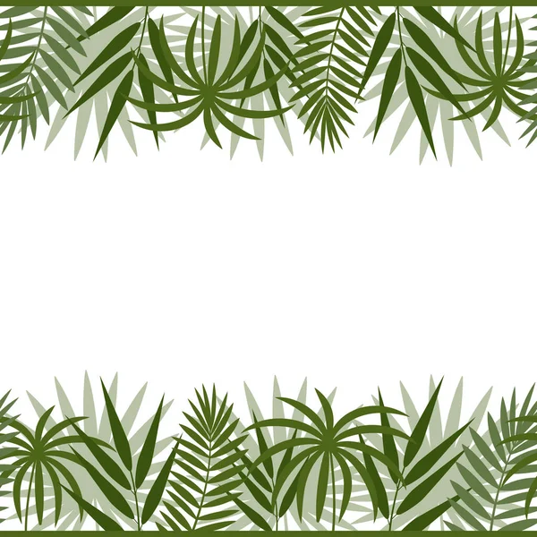 Cadre Bordure Avec Des Feuilles Tropicales Monstère Palmier Bambou Vert — Image vectorielle