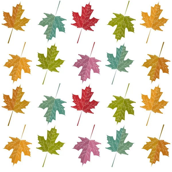 Pattern Multi Colored Autumn Maple Leaves White Background Color Illustration — Stock Vector